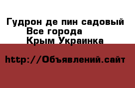 Гудрон де пин садовый - Все города  »    . Крым,Украинка